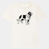 RE-Creator organic cotton t-shirt (STTU787) Thumbnail