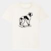 RE-Creator organic cotton t-shirt (STTU787) Thumbnail