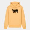 Unisex Cruiser 2.0 iconic hoodie sweatshirt (STSU177) Thumbnail