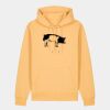 Unisex Cruiser 2.0 iconic hoodie sweatshirt (STSU177) Thumbnail