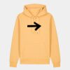Unisex Cruiser 2.0 iconic hoodie sweatshirt (STSU177) Thumbnail