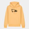 Unisex Cruiser 2.0 iconic hoodie sweatshirt (STSU177) Thumbnail