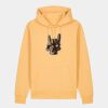 Unisex Cruiser 2.0 iconic hoodie sweatshirt (STSU177) Thumbnail