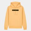 Unisex Cruiser 2.0 iconic hoodie sweatshirt (STSU177) Thumbnail