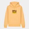 Unisex Cruiser 2.0 iconic hoodie sweatshirt (STSU177) Thumbnail