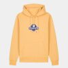 Unisex Cruiser 2.0 iconic hoodie sweatshirt (STSU177) Thumbnail
