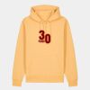 Unisex Cruiser 2.0 iconic hoodie sweatshirt (STSU177) Thumbnail